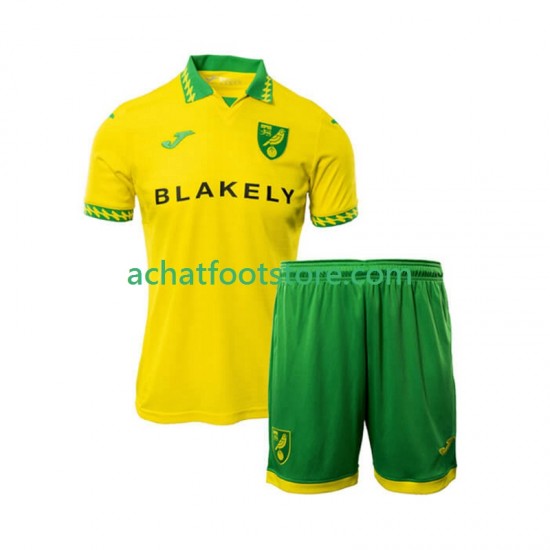 Maillot Norwich City Domicile Tenue pour Enfant 2025-2026 Manche Courte