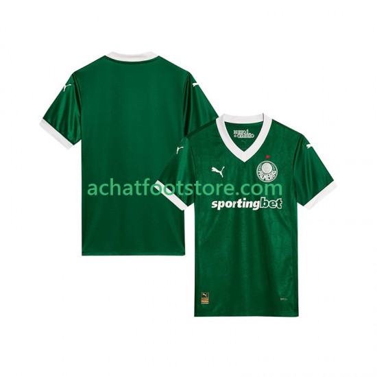 Maillot Palmeiras Domicile Tenue pour Homme 2025-2026 Manche Courte