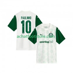 Maillot Palmeiras Paulinho 10 Extérieur Tenue pour Homme 2025-2026 Manche Courte Maillot Palmeiras Paulinho 10 Extérieur Tenue pour Homme 2025-2026 Manche Courte