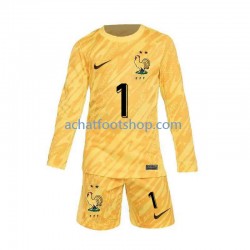 Maillot France Hugo Lloris 1 Gardien Domicile Tenue pour Enfant Euro 2024 Manche Longue