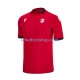 Maillot Georgia 3ème Tenue pour Homme Euro 2024 Manche Courte