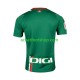 Maillot Deportivo Alaves Extérieur Tenue pour Homme 2023-2024 Manche Courte