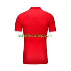 Maillot Tunisie Domicile Tenue pour Homme 2023-2024 Manche Courte