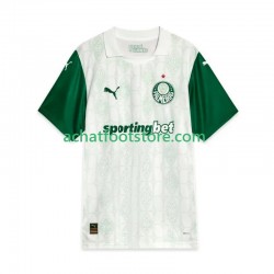Maillot Palmeiras Extérieur Tenue pour Homme 2025 Manche Courte