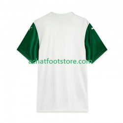 Maillot Palmeiras Extérieur Tenue pour Homme 2025 Manche Courte