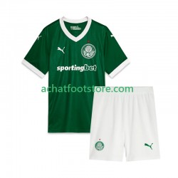 Maillot Palmeiras Domicile Tenue pour Enfant 2025 Manche Courte Maillot Palmeiras Domicile Tenue pour Enfant 2025 Manche Courte