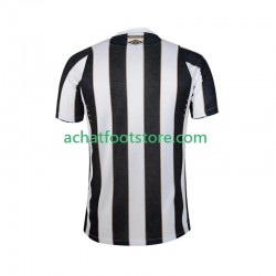 Maillot Santos FC Extérieur Tenue pour Homme 2024-2025 Manche Courte