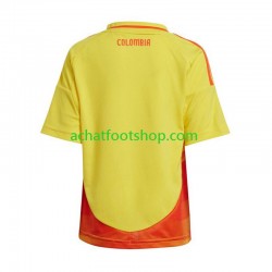 Maillot Colombie Domicile Tenue pour Homme Copa America 2024 Manche Courte