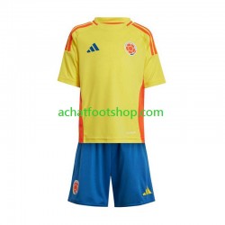 Maillot Colombie Domicile Tenue pour Enfant Copa America 2024 Manche Courte