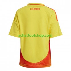 Maillot Colombie Domicile Tenue pour Enfant Copa America 2024 Manche Courte