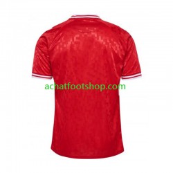 Maillot Danemark Domicile Tenue pour Homme Euro 2024 Manche Courte