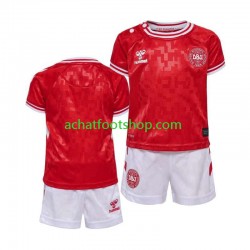 Maillot Danemark Domicile Tenue pour Enfant Euro 2024 Manche Courte