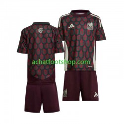 Maillot Mexique Domicile Tenue pour Enfant Copa America 2024 Manche Courte