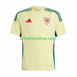 Maillot Pays de Galles Extérieur Tenue pour Homme 2024 Manche Courte