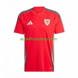 Maillot Pays de Galles Domicile Tenue pour Homme 2024 Manche Courte