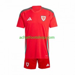 Maillot Pays de Galles Domicile Tenue pour Enfant 2024 Manche Courte
