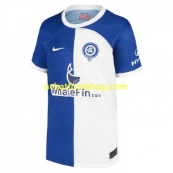 Maillot Atlético Madrid 120 Anniversary Domicile Tenue pour Homme 2022-2023 Manche Courte