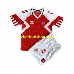 Maillot Danemark Domicile Tenue pour Enfant 2023 Manche Courte