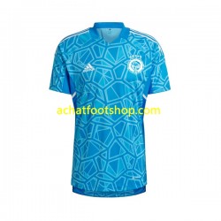 Maillot HJK Helsinki Gardien Domicile Tenue pour Homme 2022-2023 Manche Courte Maillot HJK Helsinki Gardien Domicile Tenue pour Homme 2022-2023 Manche Courte