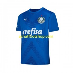 Maillot Palmeiras Gardien Domicile Tenue pour Homme 2023-2024 Manche Courte