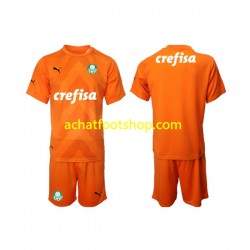 Maillot Palmeiras Gardien 3ème Tenue pour Enfant 2022-2023 Manche Courte