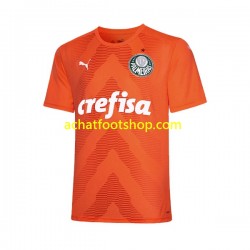 Maillot Palmeiras Gardien 3ème Tenue pour Homme 2022-2023 Manche Courte