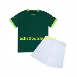 Maillot Palmeiras Domicile Tenue pour Enfant 2023-2024 Manche Courte