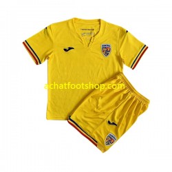 Maillot Roumanie Domicile Tenue pour Enfant 2023 Manche Courte Maillot Roumanie Domicile Tenue pour Enfant 2023 Manche Courte