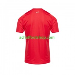 Maillot Maroc Domicile Tenue pour Homme 2023 Manche Courte
