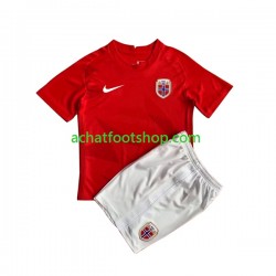 Maillot Norvège HAALAND 9 Domicile Tenue pour Enfant 2022 Manche Courte