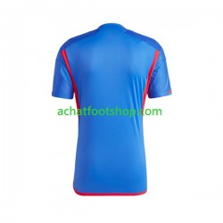 Maillot Olympique Lyonnais Extérieur Tenue pour Homme 2023-2024 Manche Courte