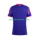 Maillot Mainz 05 Extérieur Tenue pour Homme 2025-2026 Manche Courte