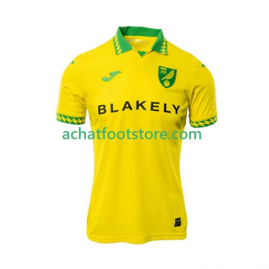Maillot Norwich City Domicile Tenue pour Homme 2025-2026 Manche Courte