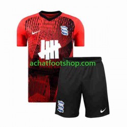 Maillot Birmingham City Extérieur Tenue pour Enfant 2023-2024 Manche Courte Maillot Birmingham City Extérieur Tenue pour Enfant 2023-2024 Manche Courte