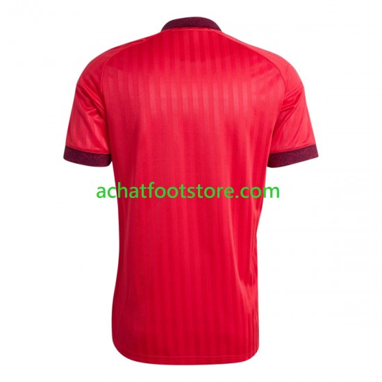 Maillot Olympique Lyonnais Domicile Tenue pour Homme 2026-2027 Manche Courte
