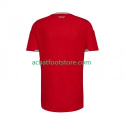 Maillot Pays de Galles Domicile Tenue pour Homme 2026 Manche Courte