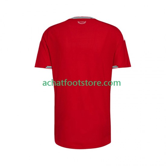 Maillot Pays de Galles Domicile Tenue pour Homme 2026 Manche Courte