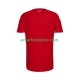 Maillot Pays de Galles Domicile Tenue pour Homme 2026 Manche Courte