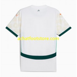 Maillot Côte d'Ivoire Extérieur Tenue pour Homme 2025 Manche Courte