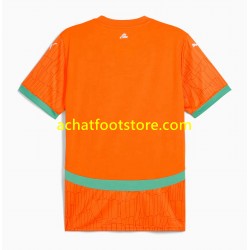 Maillot Côte d'Ivoire Domicile Tenue pour Homme 2025 Manche Courte