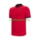 Maillot Albanie Domicile Tenue pour Homme 2026 2027 Manche Courte