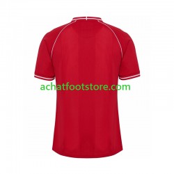 Maillot Danemark Domicile Tenue pour Homme 2026 Manche Courte