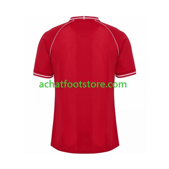 Maillot Danemark Domicile Tenue pour Homme 2026 Manche Courte