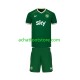 Maillot Irlande Domicile Tenue pour Enfant 2026 Manche Courte