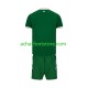 Maillot Irlande Domicile Tenue pour Enfant 2026 Manche Courte