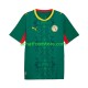 Maillot Sénégal Extérieur Tenue pour Homme 2026 2027 Manche Courte
