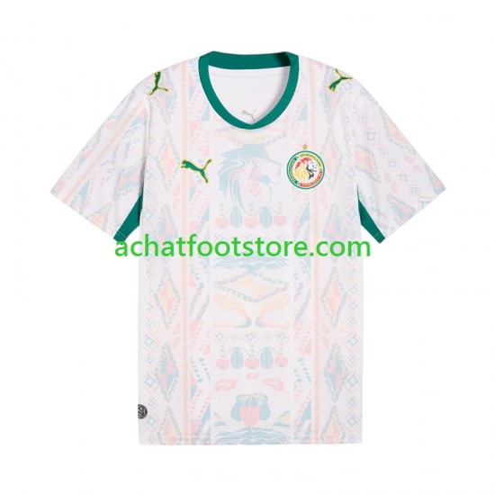 Maillot Sénégal Domicile Tenue pour Homme 2026 2027 Manche Courte