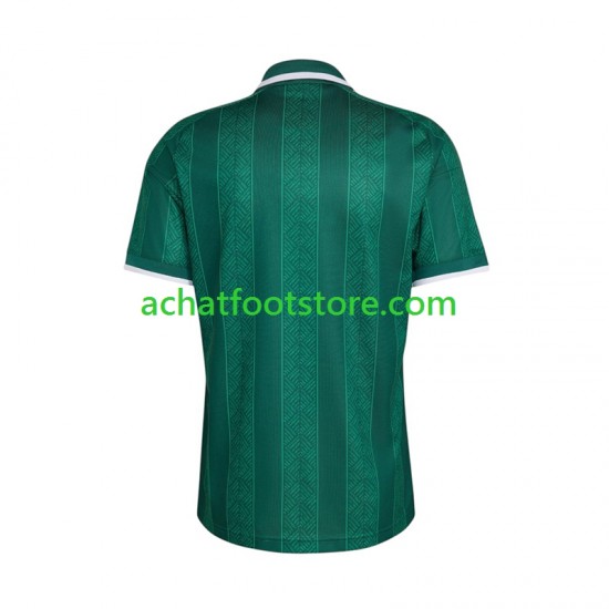 Maillot Afrique Du Sud Extérieur Tenue pour Homme Coupe du Monde 2026 Manche Courte