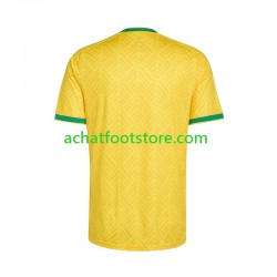 Maillot Afrique Du Sud Domicile Tenue pour Homme Coupe du Monde 2026 Manche Courte