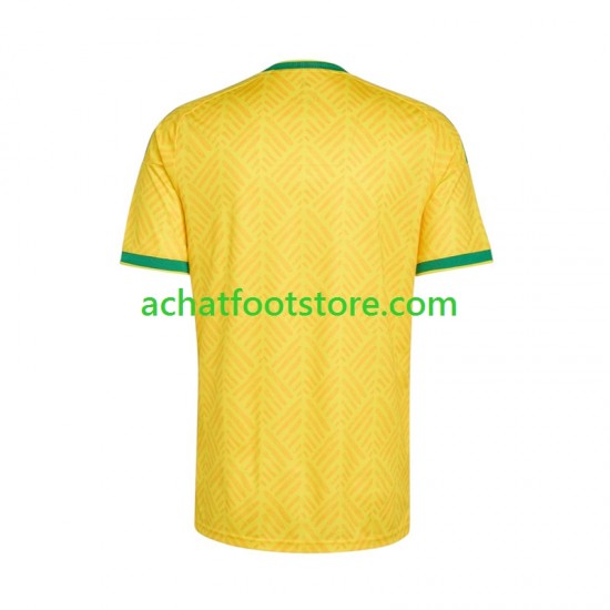 Maillot Afrique Du Sud Domicile Tenue pour Homme Coupe du Monde 2026 Manche Courte